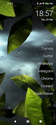 Fresh Leaves screenshot 3