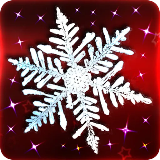 Snow Stars