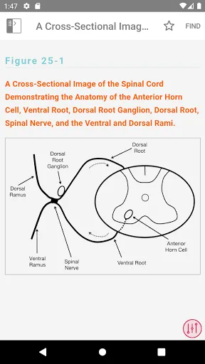 McLean EMG Guide screenshot 4