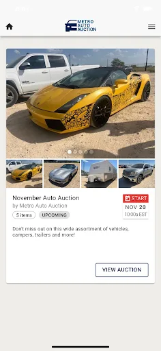 Metro Auto Auction screenshot 1