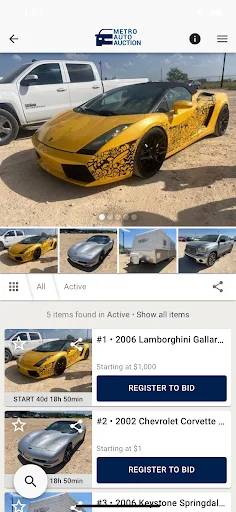 Metro Auto Auction screenshot 2