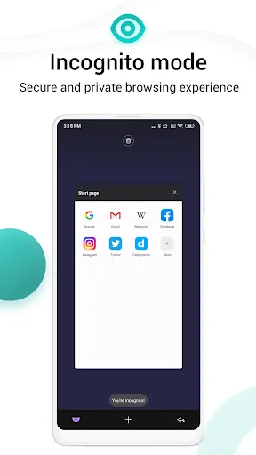 Mint Browser - Video download, screenshot 4