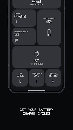Battery Health screenshot 2