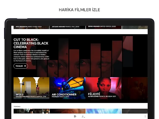 MUBI: Curated Cinema screenshot 5