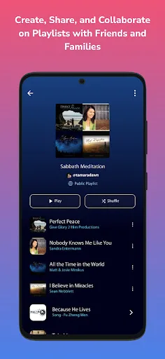MusicVerse screenshot 2