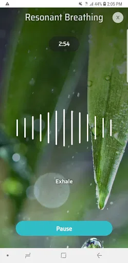 Total Brain screenshot 2