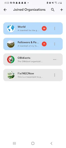 Townhall screenshot 3