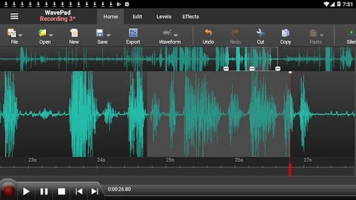 WavePad Audio Editor screenshot 1