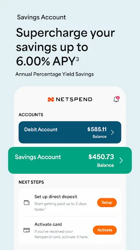 Netspend screenshot 4