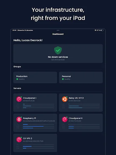 Netweak: Server Monitoring screenshot 5