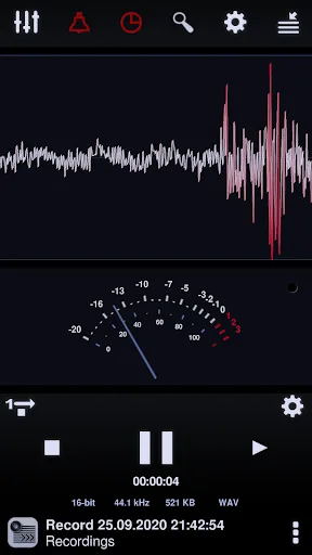 Neutron Audio Recorder (Eval) screenshot 1