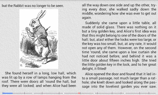 AlReader -any text book reader screenshot 5