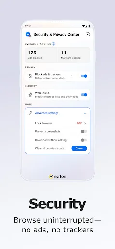 Norton Private Browser screenshot 1