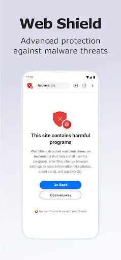 Norton Private Browser screenshot 2