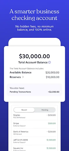 Novo - Small Business Checking screenshot 1