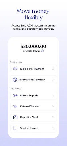 Novo - Small Business Checking screenshot 2