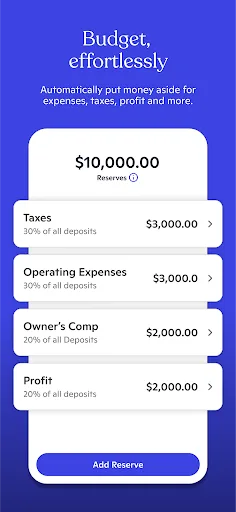 Novo - Small Business Checking screenshot 3