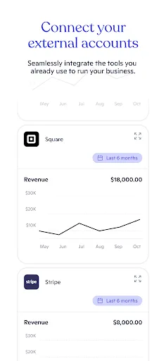 Novo - Small Business Checking screenshot 4