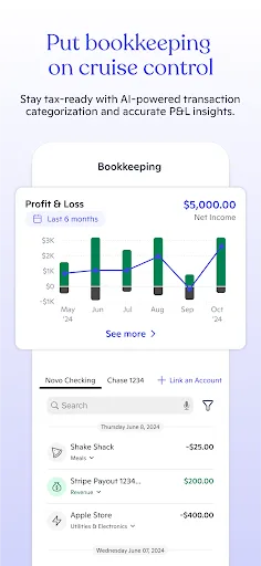 Novo - Small Business Checking screenshot 5