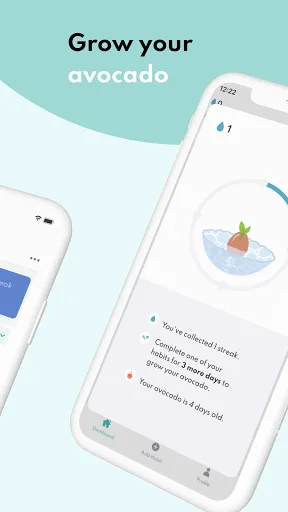 Avocado Habit screenshot 4
