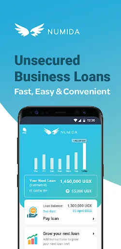 Numida - Business Loans screenshot 1