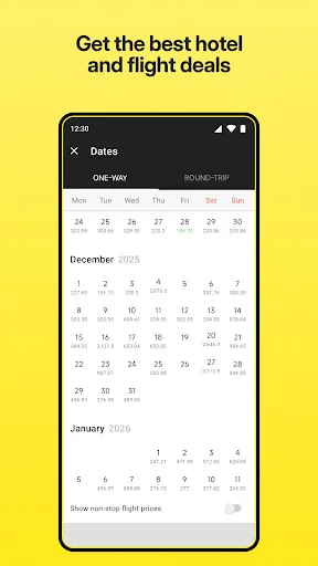 Hotels and Flights screenshot 4