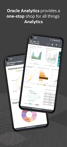 Oracle Analytics screenshot 1