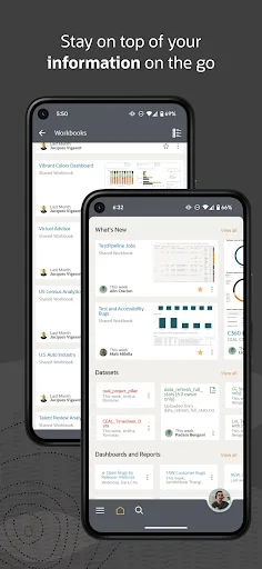 Oracle Analytics screenshot 2