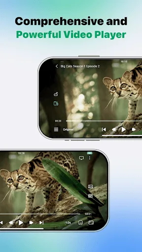 VidHub - Ultimate media player screenshot 3