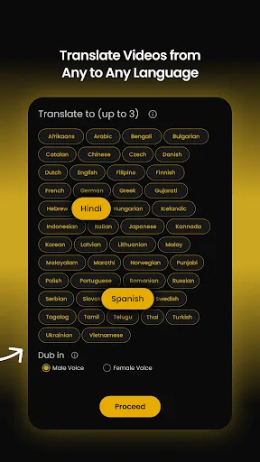 Panini AI Video Translator Dub screenshot 4