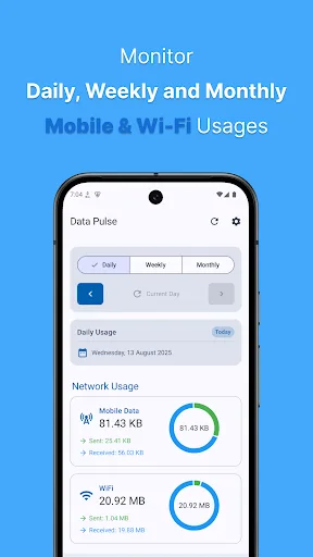 Data Pulse: Data Usage Tracker screenshot 1