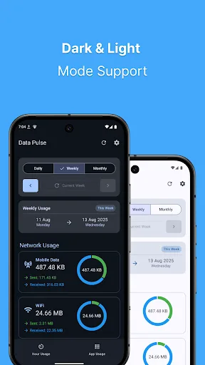 Data Pulse: Data Usage Tracker screenshot 2