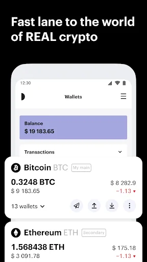 Crypto & Bitcoin Wallet Paybis screenshot 3