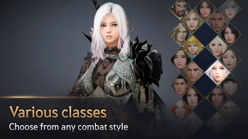 Black Desert Mobile screenshot 4