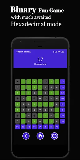 Binary Fun: Number System Game screenshot 4
