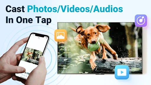 PigeonCast：TV Cast via AirPlay screenshot 4