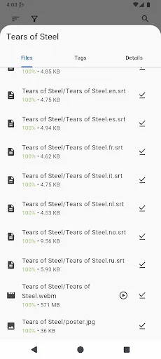 PikaTorrent -  Torrent app screenshot 2