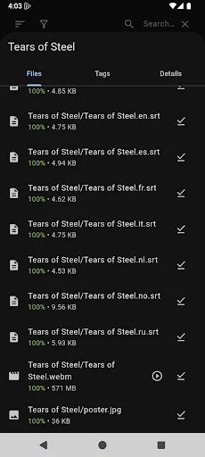 PikaTorrent -  Torrent app screenshot 4