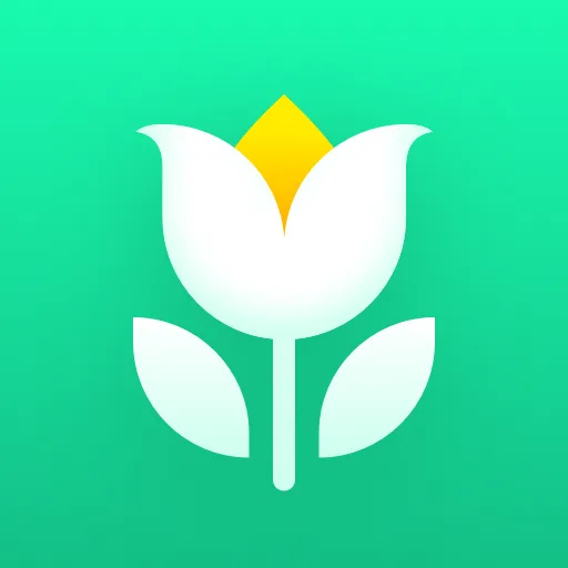 Plant Parent: Plant Care Guide