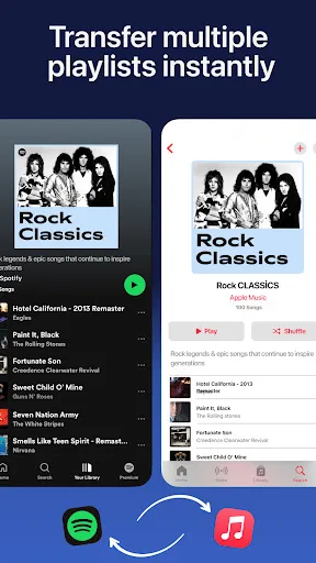 Playlist Transfer for My Music screenshot 4