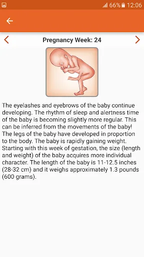 WomanLog Pregnancy Pro screenshot 3