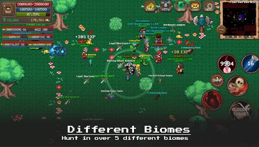 Laurum Online - 2D MMORPG screenshot 5