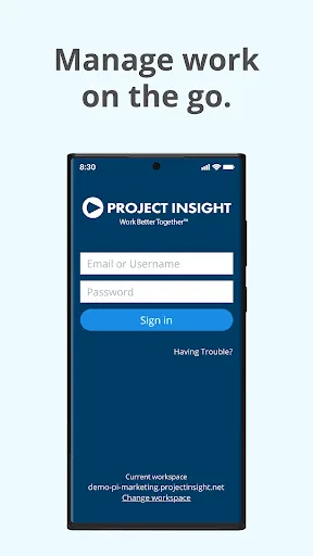 Project Insight screenshot 1