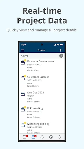 Project Insight screenshot 3