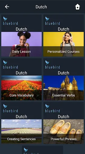 Learn Dutch. Speak Dutch. Stud screenshot 1