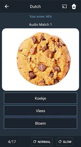 Learn Dutch. Speak Dutch. Stud screenshot 4