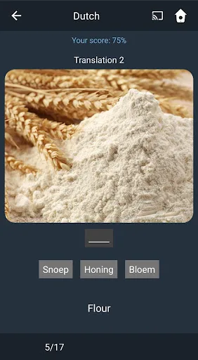 Learn Dutch. Speak Dutch. Stud screenshot 5