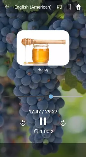 Learn American English. Speak  screenshot 3