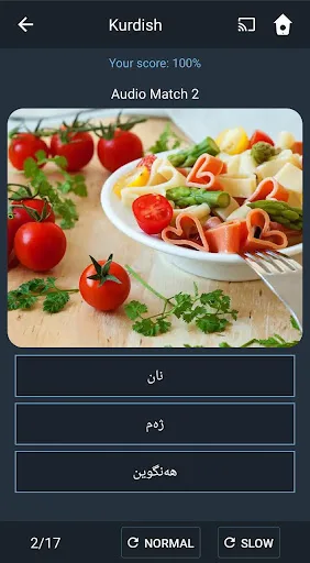 Learn Kurdish. Speak Kurdish.  screenshot 5