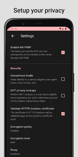 BitKT - Torrent Client screenshot 5